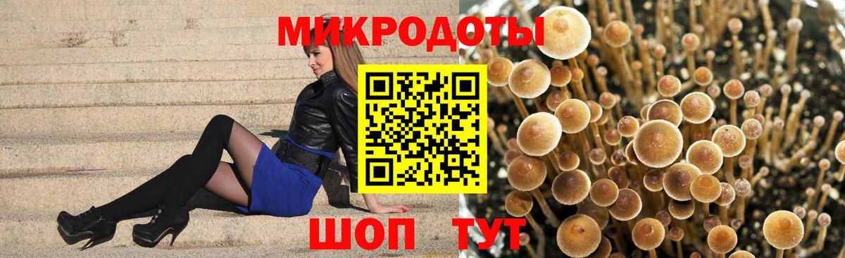 Галлюциногенные грибы прущие грибы  Вход с VPN  Псилоцибиновые грибы Magic Shrooms  Буйнакск 